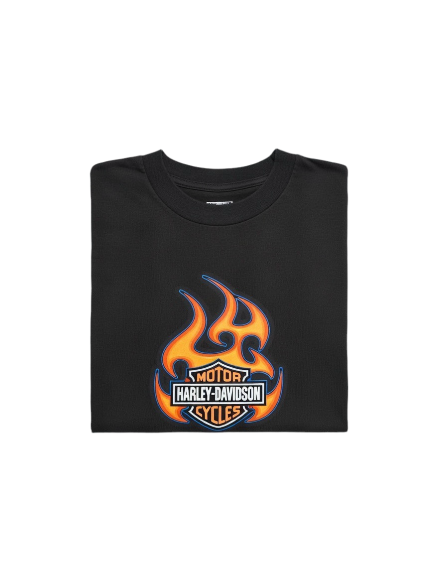 Harley Davidson Netherlands 2001 T-Shirt (L)