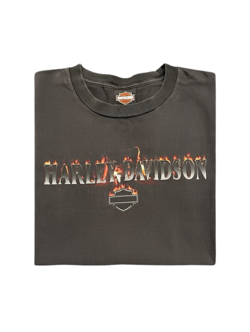 Harley Davidson Flames 2002 T-Shirt(L)