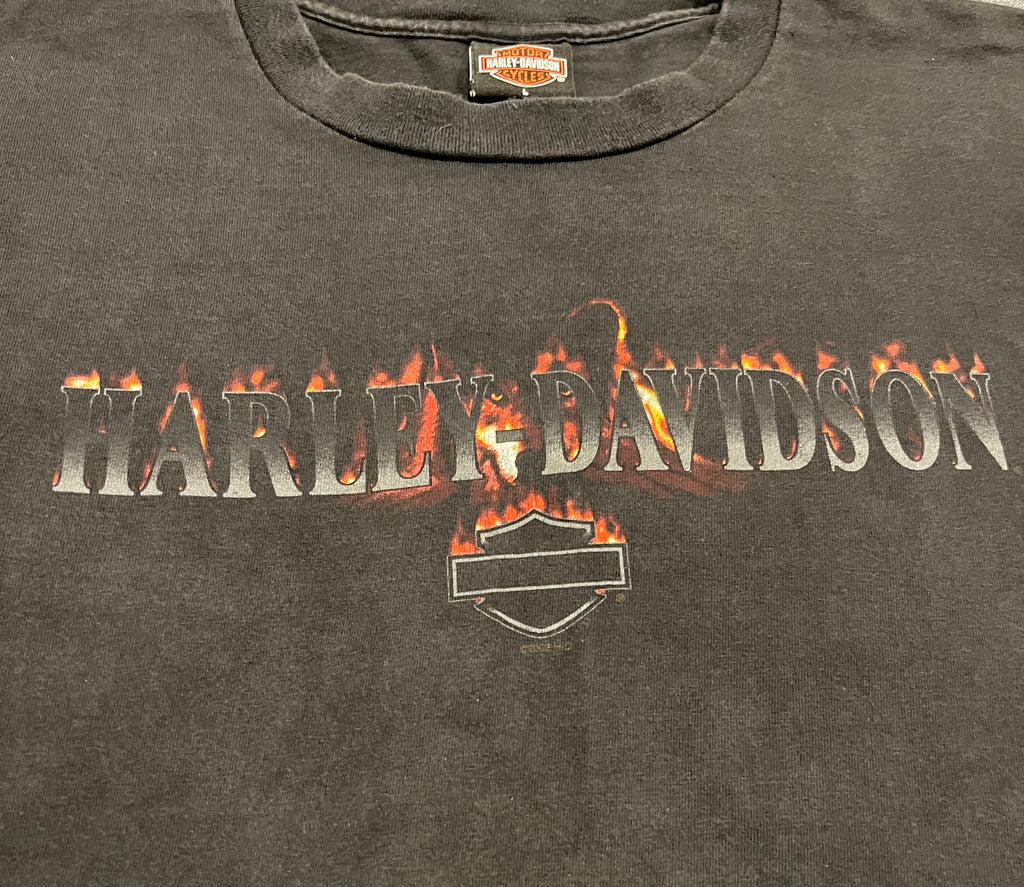 Harley Davidson Flames 2002 T-Shirt(L)