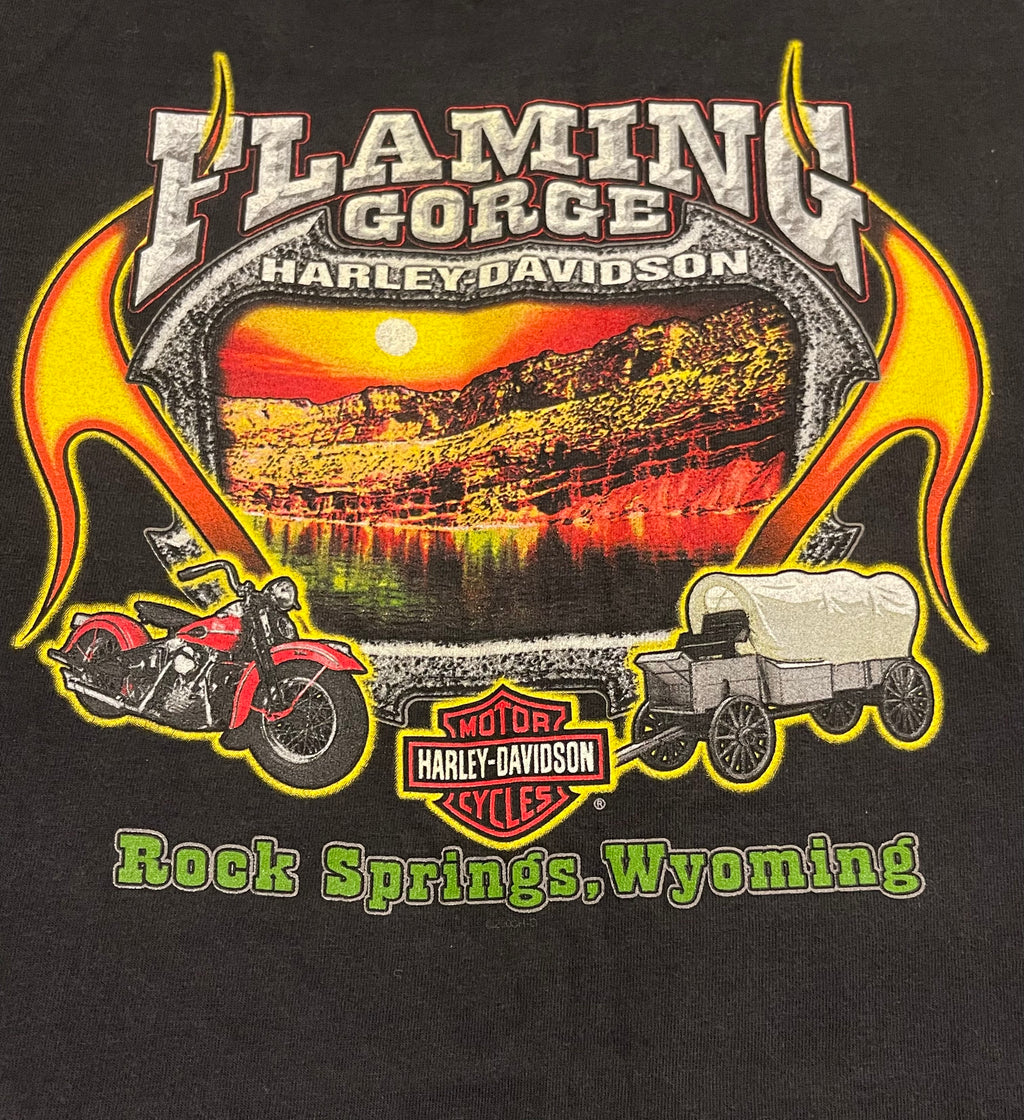 Harley Davidson Flames 2002 T-Shirt(L)